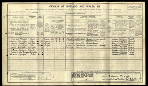 Census2-300x176