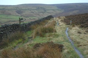 Haworth Moor